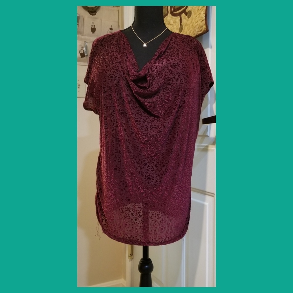 Lane Bryant sheer burgundy velvet burnout top